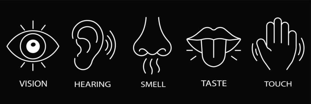 Five senses minimal line icon set.editable stroke