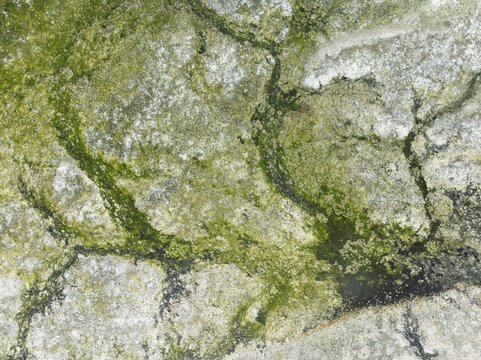 Marshes and streams at low tide in the Walvis Bay Lagoon. Aerial view. Drone shot. Walvis Bay, Namibia