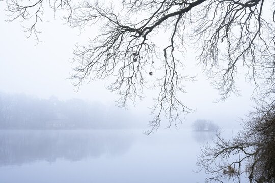 Ahlhorn fish ponds in fog, Ahlhorn, Lower Saxony, Germany