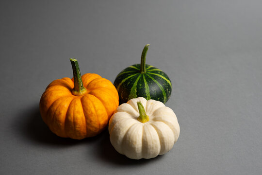 Colorful Mini Pumpkins on Gray Background with Copy Space