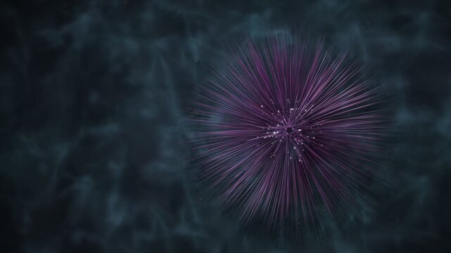 Purple Sea Urchin Spines Swaying Underwater Macro Seamless Loop
