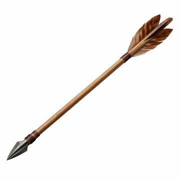 Traditional wooden arrow with feathers.