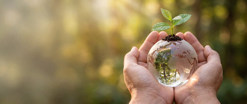 Glass globe with growing plant in hands under warm sunlight in a forest, symbolizing ecology, nature conservation, sustainable future, and environmental protection concepts