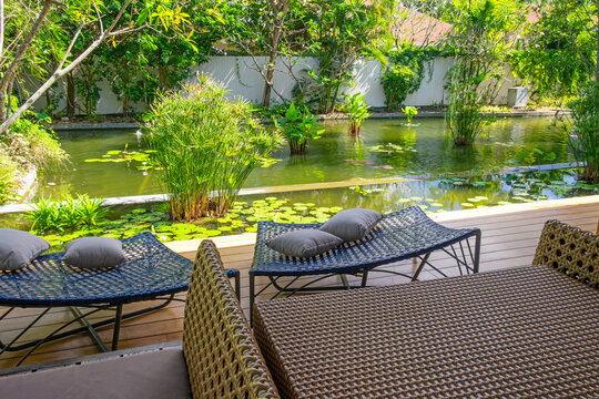 Woven sun beds and lounge furniture overlook landscaped tropical pond surrounded by lush vegetation at resort on Koh Samui, Thailand. Hotel recreation, outdoor relaxation, wellness vacation