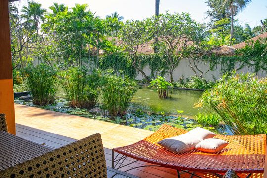 Woven lounge bed with soft cushions near pond with tropical plants at resort on Koh Samui, Thailand. Relaxing island holiday, wellness tourism, hotel leisure area, tropical accommodation
