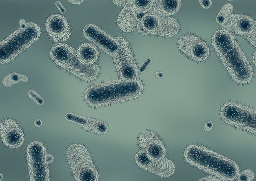 Scientific visualization of the bacterium Yersinia pestis, the pathogen responsible for pneumonic plague or the Black Death, a severe respiratory infection.