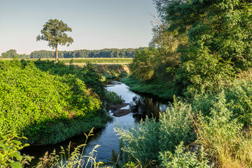 Naturalny bieg małej rzeki w dolinie wśród zielonych pól i drzew (Platanus / Salix). Retencja wody, ochrona zasobów wodnych i przyroda. © Henryk Niestrój