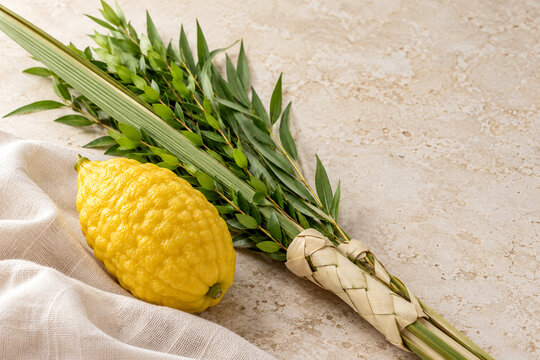 Etrog and Lulav Four Species for Jewish Sukkot Holiday