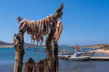 Octopus drying on wooden rack, Antiparos, Greece © mbruxelle