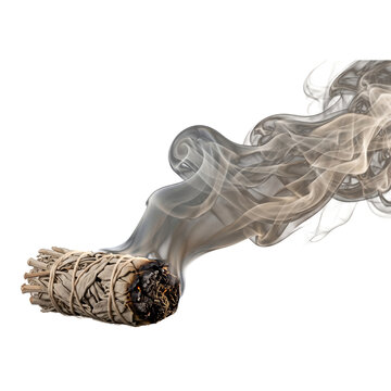 White sage smudge stick with smoke plume isolated on transparent background cleansing herb incense overlay