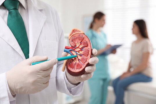 Urology and treatment of kidney disease. Doctor doing kidney exam for female patient with kidney disease, soft focus