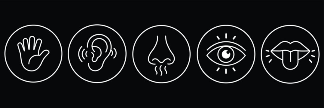 Five human senses linear vector icon collection including hand, ear, nose, eye, and lips for perception designs.