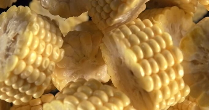 Corn cob pieces falling in slow motion 1000 fps top view over black background