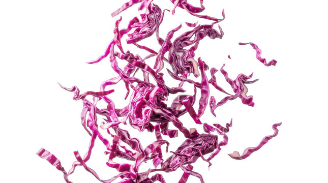 Red cabbage leaves arranged isolated on  PNG transparent background