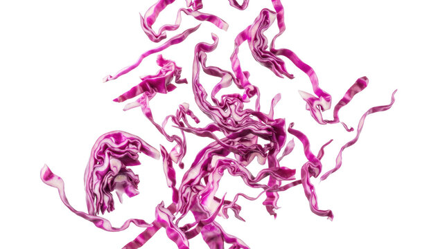 Red cabbage leaves arranged isolated on  PNG transparent background