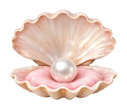 PNG Elegant pearl in open shell
