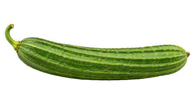 Fresh ridge gourd or luffa acutangula vegetable isolated on transparent background