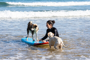 Woman wetsuit, two dogs, surfboard, ocean waves. Dog stands, other wades nearby. Joyful, relaxed, playful beach moment. Ideal for pet, water, outdoor, family, adventure themes © Eva