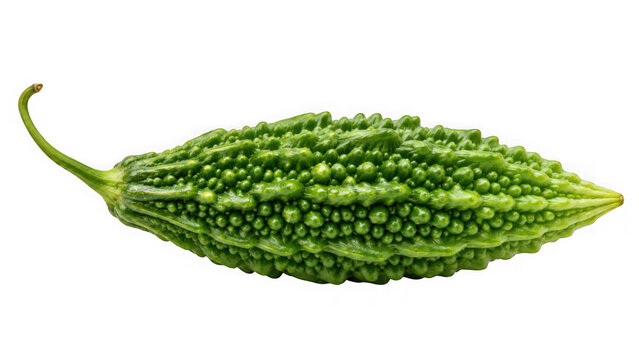 Fresh bitter melon or bitter gourd vegetable isolated on transparent background