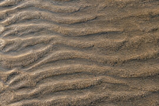Natural ripple patterns in wet beach sand