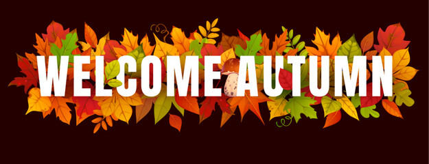 Fototapeta premium Hello welcome autumn banner, invitation card, cover and poster, advertising banner, placard or flyer. Vector seasonal typography with fall foliage of red, orange, yellow and green leaves and mushrooms