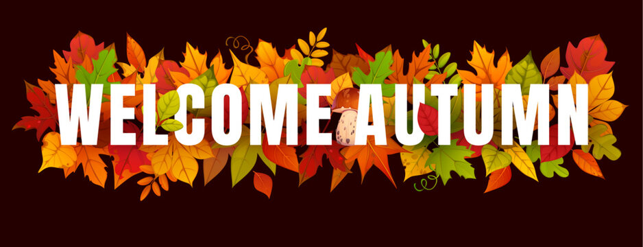 Hello welcome autumn banner, invitation card, cover and poster, advertising banner, placard or flyer. Vector seasonal typography with fall foliage of red, orange, yellow and green leaves and mushrooms