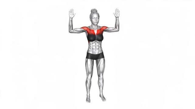 Bodyweight Standing Fly &mdash; Mimics the chest fly movement without equipment, activating and strengthening the pecs through a controlled squeeze.