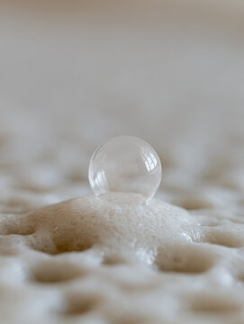 Fermented batter bubble macro glossy surface tension window light Fermented batter bubble macro showing solitary glossy dome, crisp window reflection, gentle surface tension, soft neutral tones