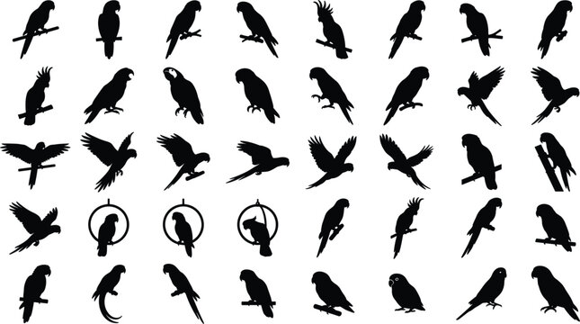 Parrot silhouette vector set featuring exotic tropical birds cockatoos and macaws in flying and perching poses for wildlife logo and nature graphic design projects