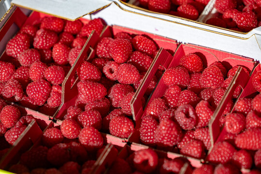 Himbeeren Schale