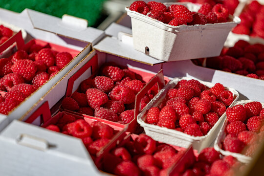 Schalen mit Himbeeren 