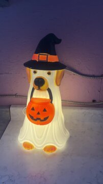 Dog holding a jack o lantern Halloween decoration 