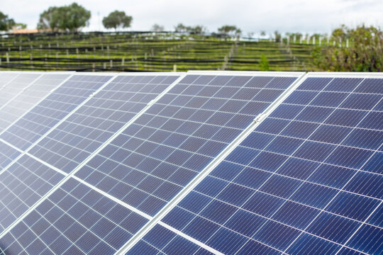 Solar panels converting sunlight into clean energy, representing a commitment to sustainability and eco-friendly power generation in an agricultural landscape