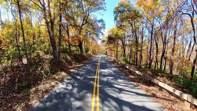  low asphalt perspective opens into golden forest canopy above the Virginia roadway.
