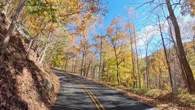 Sunlit autumn foliage frames a narrow road beside the steep leaf covered bank  shenandoah.
