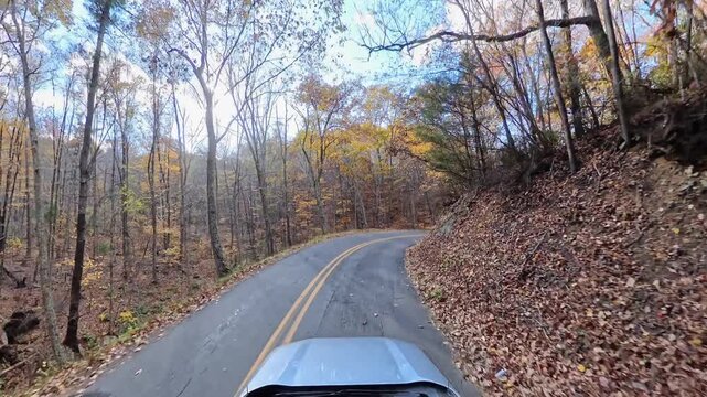  Autumn trees pass above the vehicle as the roadway recedes between wooded slopes.
