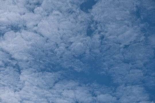 Textured White Clouds Filling a Deep Blue Sky
