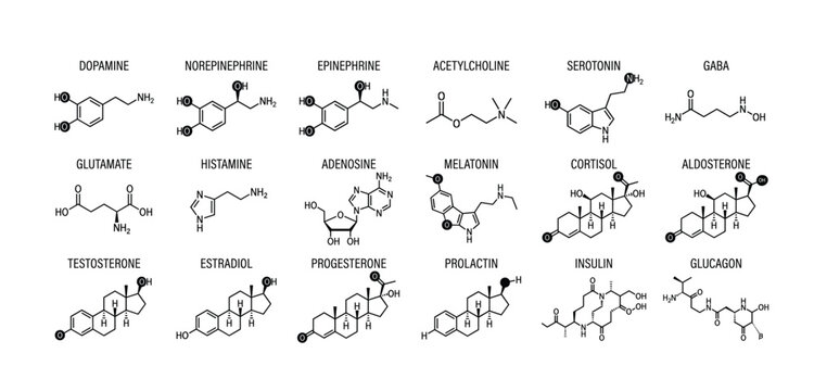 Hormones And Neurotransmitters Chemical Structures Medical Biochemistry Reference Illustration
