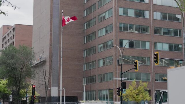 Cars wait at a red light at a downtown Montreal intersection beside a tall brick office building flying a Canadian flag as yellow trees mark early autumn in Quebec Canada