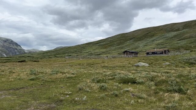Grazing horses and an old turf roofed mountain farm in Dovrefjell