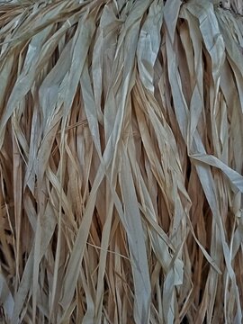 Dried natural raffia straw texture, raw material for traditional handmade local handicraft