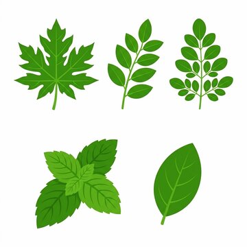 Green leaf set