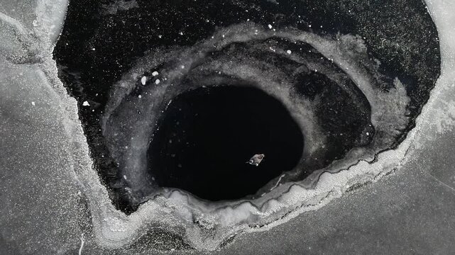 Common Loon, Great northern diver, (Gavia immer), Injured juvenile loon unable to fly, Bird trapped in an open water hole on a frozen lake, Region of La Mauricie, Province of Quebec, Canada, North Am