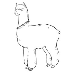 Vintage hand drawn lama png cartoon clipart black and white © Rawpixel.com