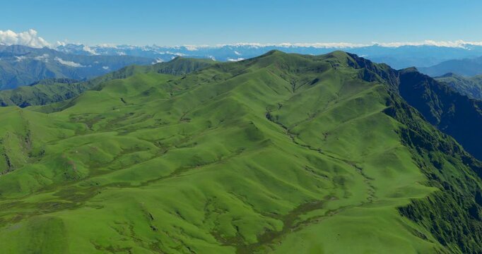 Badimalika region, Bajura, Nepal, aerial shot of green alpine ridge slopes and mountain ranges in Triveni Patan grassland, featuring distant snow-capped Himalayan peaks under clear blue skies
