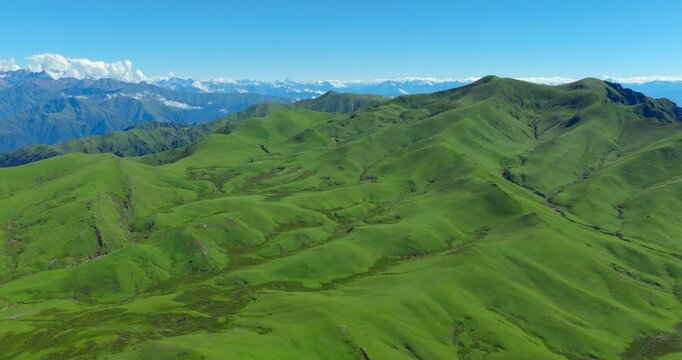 Badimalika region, Nepal, drone shot over sprawling green alpine hills, rolling terrain, and distant snow-capped Himalayan mountain peaks in Triveni Patan grassland under a clear blue sky