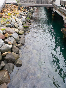 Rocky shoreline and clear water beside wooden pier