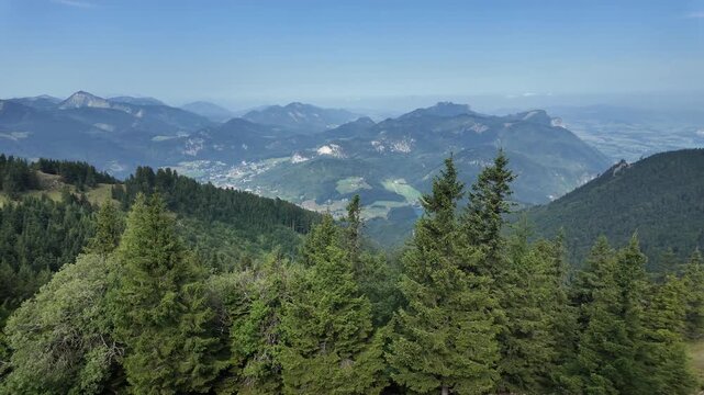 Aerial landscape with evergreen tree. Scenic view over wild nature. Aerial view on mountain landscape. Landscape panorama. Scenic landscape with mountain nature. Mountain peak aerial view