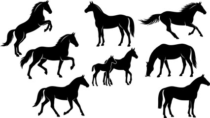 Obraz premium Black horse silhouettes depict various equestrian poses against a white background