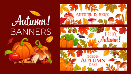 Fototapeta premium Autumn banners with pumpkins, wicker cornucopia, woven basket, apples and pears, grapes, corn cob, wheat stalks, berries, acorn and fall tree leaves. Vector festive Thanksgiving seasonal harvest cards